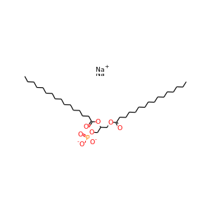 1,2-Diacyl-sn-Glycerol 3-phosphate